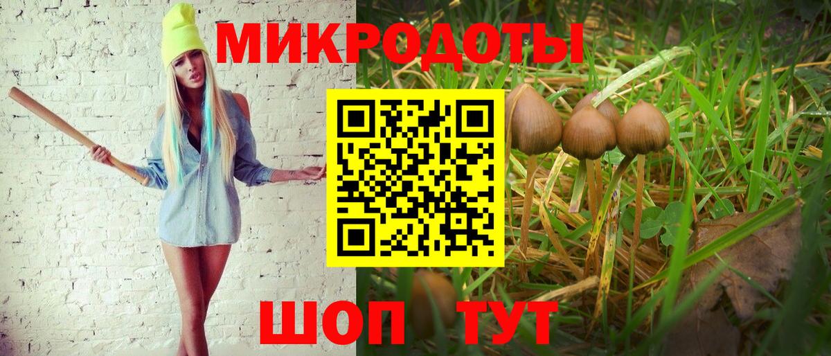 Псилоцибиновые грибы Magic Shrooms Грязи