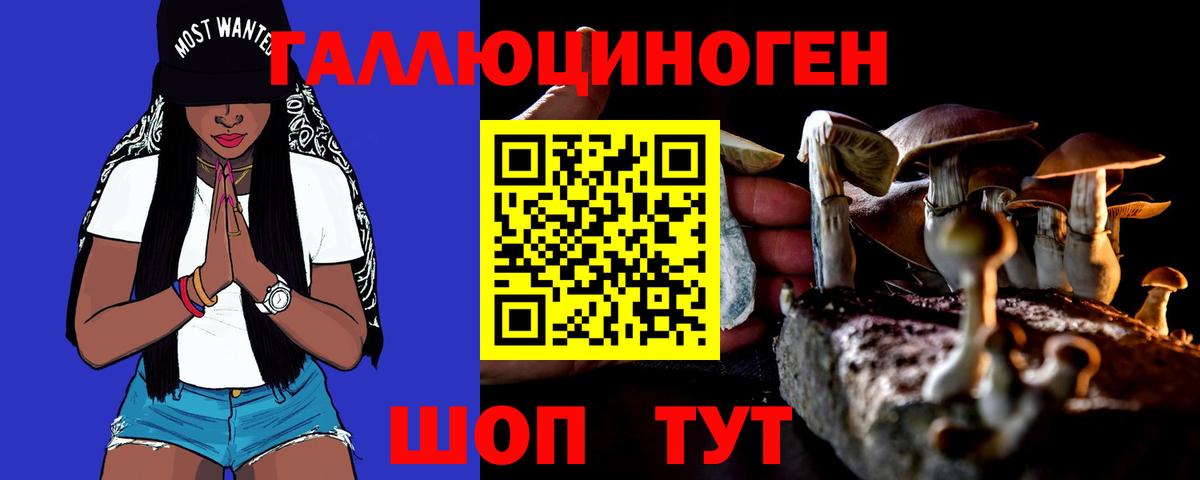 LSD-25 Грязи